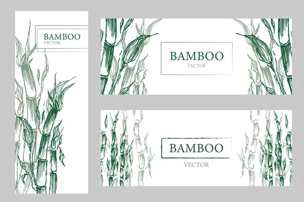 Natürliche Tropische Pflanzen Hintergrund Drei Banner Mit Grünen Bambusbäumen Vektorillustration — Stockvektor