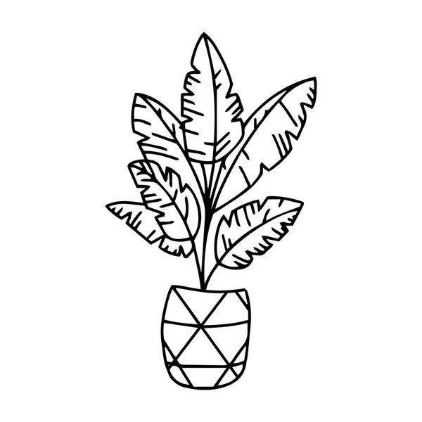 Vector Home Planten Potten Schets Tekeningen Een Witte Achtergrond Doodle — Stockvector