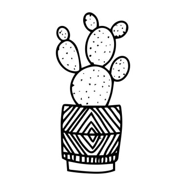 El çizimi kaktüsler tencereye. Logo kaktüsü. Kapalı alanda ve ofis kaktüsünde vektör dekoratif. Karalama bitkileri çizimi beyaz bir arkaplanda izole edilmiş.