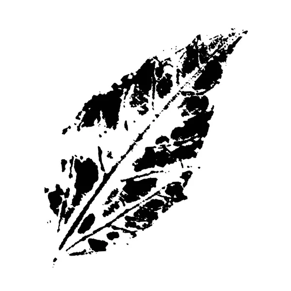 Stempel van blad. Zwart op wit. Inkt afdruk van herfstblad met textuur, geïsoleerd op wit. Overlay sjabloon. Vector illustratie botanisch. Grunge bladeren. — Stockvector