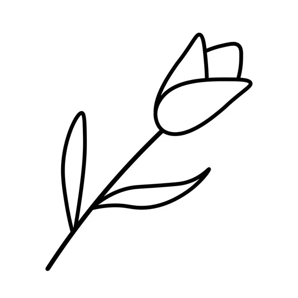 Tulpensymbol Oder Logo Handgezeichnete Blume Vektor Illustration Doodle Stil Isoliert — Stockvektor