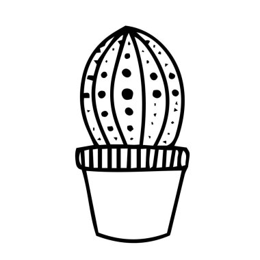 El çizimi kaktüsler tencereye. Kapalı alanda ve ofis kaktüsünde vektör dekoratif. Karalama bitkileri çizimi beyaz bir arkaplanda izole edilmiş. logo