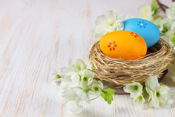 Eatster eggs in a nest — Stock Photo, Image