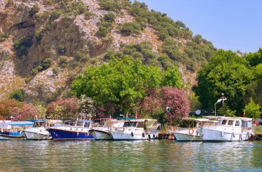 Turistik Nehir Tekneleri Türkiye 'nin Mugla kentindeki Dalyan Nehri rıhtımına demirledi.