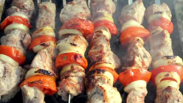 Barbecue Grilled pork kebabs meat, pieces of meat on skewers. process of cooking marinated meat on fire. — Stock Video