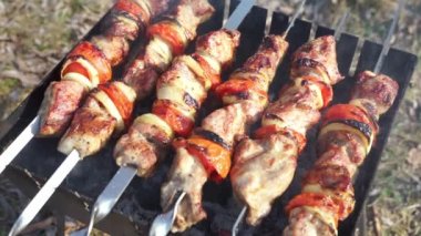 Izgara domuz kebabı eti, şişte et parçaları. Kızartma işlemi ateşle marine edilmiş et.