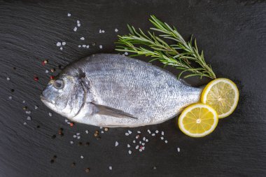 Siyah arkaplanda taze balık dorado ve yemek pişirmek için gerekli malzemeler.