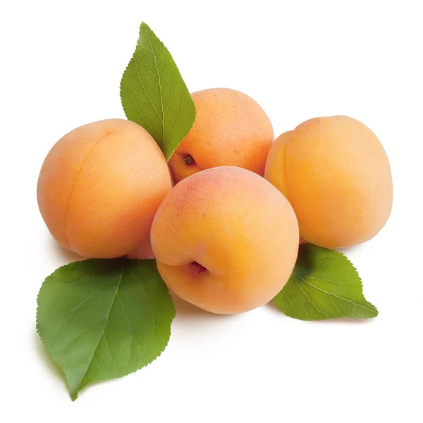 Apricots isolated on a white background. — Stock Photo, Image