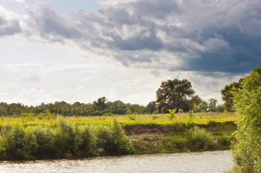 Yaz nehri manzarası