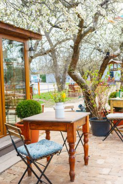 Tahta masa, sandalyeler ve çiçek açan ağaçlarla çevrili taze çiçeklerle büyüleyici bir bahar bahçesi sahnesi. Samimi açık kafe atmosferi, kırsal mobilyaları ve doğal mevsimsel manzarası var.