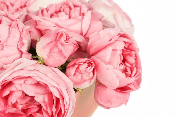 粉红玫瑰背景图像 — 图库照片