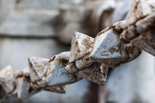 Strange chain — Stock Photo, Image