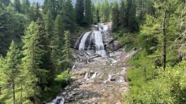 Bir nehir kayaların üzerinden akar ve güneşli bir günde çam ormanının ortasında bir şelale oluşturur. Kamera Yukarı Eğil