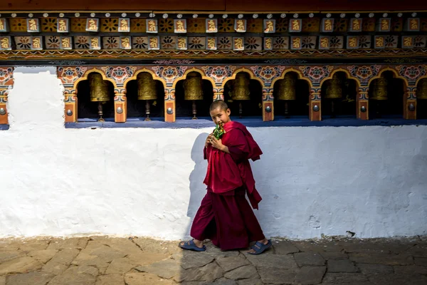 Kimliği belirsiz genç öğrenci monk ile Chimi Lhakang Manastırı, Punakha, Bhutan, elbiseler