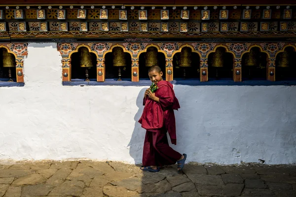 Kimliği belirsiz genç öğrenci monk ile Chimi Lhakang Manastırı, Punakha, Bhutan, elbiseler