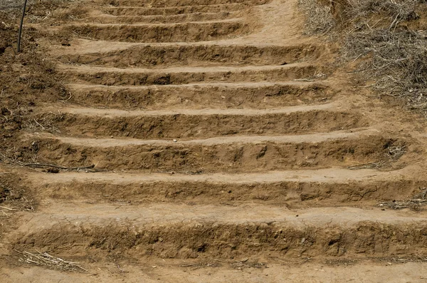 泥泞的楼梯踪迹 — 图库照片