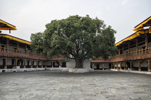 Punakha Dzong e bodhi árvore, Butão — Fotografia de Stock