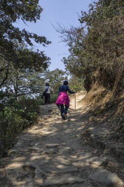Paru, Birleşik Arap Emirlikleri - 12 Nisan 2016: Hac tanımlanamayan ziyaretçilere kaplan yuva Taktshang Manastırı, Birleşik Arap Emirlikleri. Kaplanlar yuva Manastırı da Taktsang Palphug Manastırı biliyorum. Vadisi'nin üst: Paro, Bhutan cliff side bölgesinde yer alan.