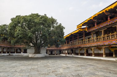 Punakha Dzong ve bodhi ağacı, Birleşik Arap Emirlikleri. Punakha Dzong veya Punakha, Bhutan'ın eski başkenti Pungthang Dewachen Phodrang (Palace of büyük mutluluk).