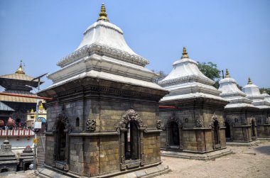 Adak tapınak ve türbelerin üst üste Pashupatinath Tapınağı, Katmandu, Nepal