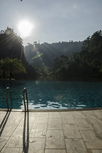 Piscina Lato Lago Coperta Albero Della Giungla — Foto Stock