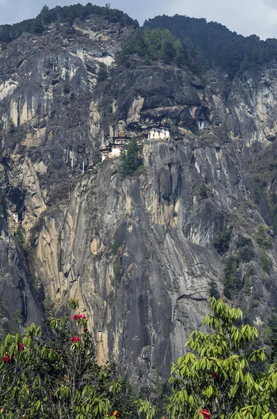 Monastero Taktshang Bhutan Monastero Tigers Nest Conosciuto Anche Come Monastero — Foto Stock