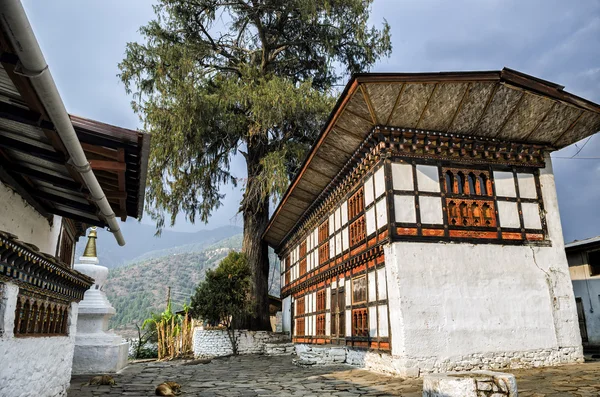 Kyichu Lhakhang Tapınağı,: Paro, Bhutan. Bu da Kyerchu tapınak veya Lho Kyerchu Lango Gewog Bhutan Paro bölgesinin içinde yer alan önemli bir Himalaya Budist Tapınağı denir.