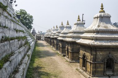 Adak tapınak ve türbelerin üst üste Pashupatinath Tapınağı, Katmandu, Nepal
