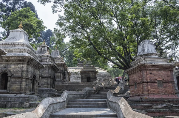 Pashupatinath Temple Kathmandu Nepal Sri Pashupatinath Temple Located Banks Bagmati — Stock Photo, Image