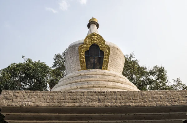 Duże Bielone Stupa Bodhi Drzewa Pierwszym Dziedzińcu Punakha Dzong Bhutan — Zdjęcie stockowe