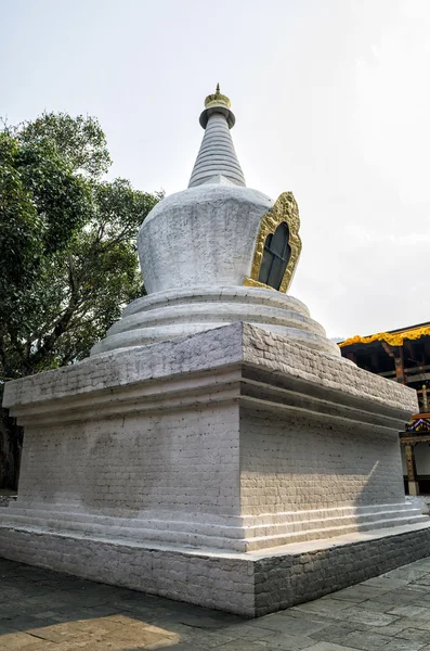 Large White Washed Stupa Bodhi Tree First Courtyard Punakha Dzong — Stock Photo, Image