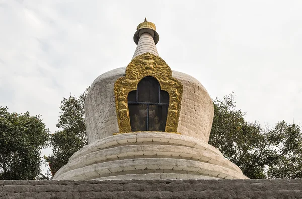 Gran Estupa Lavada Con Blanco Árbol Bodhi Primer Patio Punakha —  Fotos de Stock