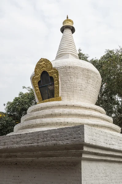 Große Weiß Gewaschene Stupa Und Bodhi Baum Ersten Hof Von — Stockfoto