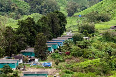Cameron Highlands, Malezya 'daki Sungai Palas Boh Tea Konutu' nda çalışanların konaklaması.