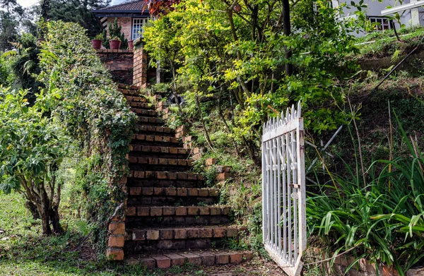 Passos Escada Tijolo Velho Caso Escada Levando Uma Antiga Casa — Fotografia de Stock