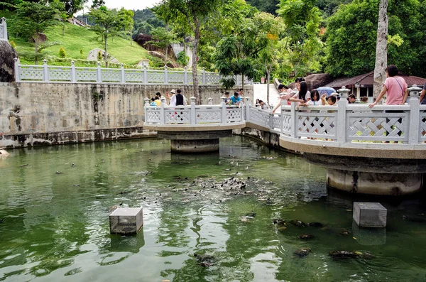 Unidentified Visitors Feeding Turtles Kek Lok Temple Turtle Liberation Pond — Stock Photo, Image