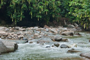 doğal olarak gelişmemiş nehir bentong, pahang, Malezya