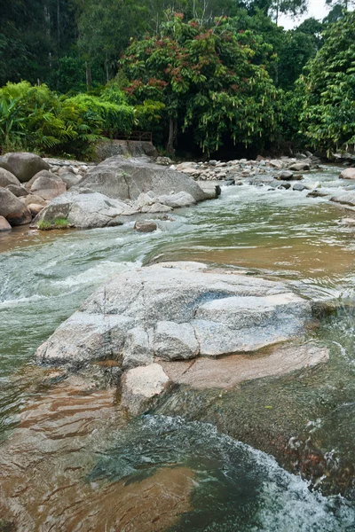 Rio naturalmente subdesenvolvido em Bentong, Pahang, Malásia — Fotografia de Stock