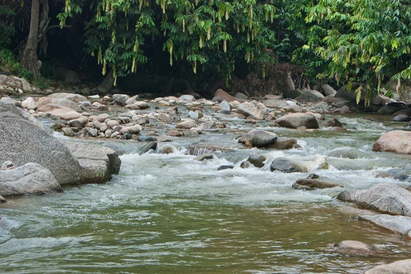 Rio naturalmente subdesenvolvido em Bentong, Pahang, Malásia — Fotografia de Stock