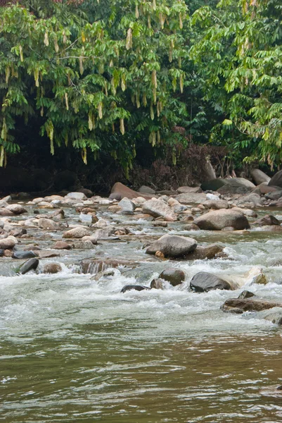 Rio naturalmente subdesenvolvido em Bentong, Pahang, Malásia — Fotografia de Stock