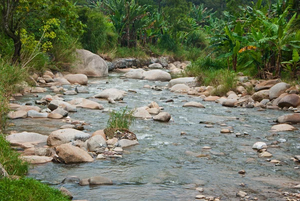 Rio naturalmente subdesenvolvido em Bentong, Pahang, Malásia — Fotografia de Stock