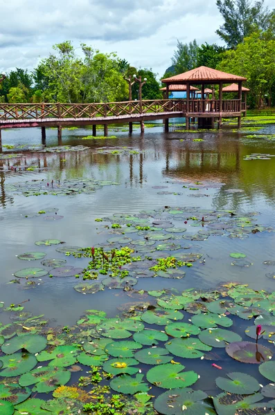 Taman rekreasi tasik melati, perlis, malaysien — Stockfoto