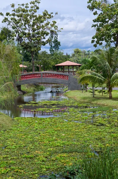 Taman rekreasi tasik melati, perlis, malaysien — Stockfoto