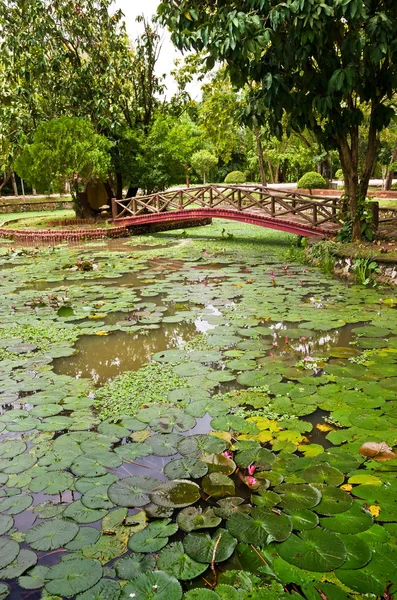 Taman Rekreasi Tasik Melati, Perlis, Malasia — Foto de Stock