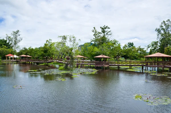 Taman Rekreasi Tasik Melati, Perlis, Malasia — Foto de Stock