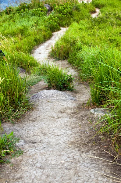 Bergweg van Broga Hill, Maleisië — Stockfoto