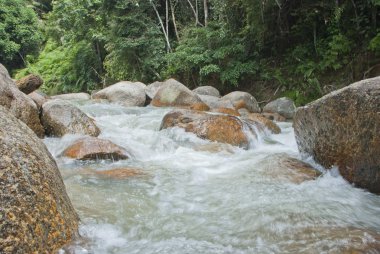 doğal olarak gelişmemiş nehir bentong, pahang, Malezya
