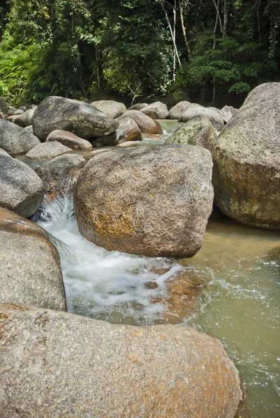 Rio naturalmente subdesenvolvido em Bentong, Pahang, Malásia — Fotografia de Stock