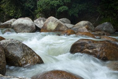 doğal olarak gelişmemiş nehir bentong, pahang, Malezya