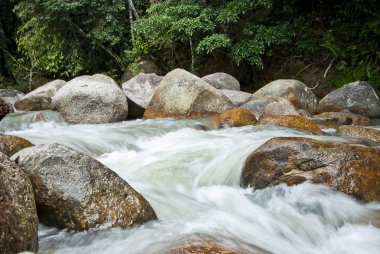 doğal olarak gelişmemiş nehir bentong, pahang, Malezya